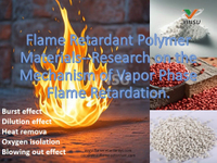 //iororwxhnnrill5q-static.micyjz.com/cloud/lqBprKkqlrSRmkiiljlpjo/Flame-Retardant-Polymer-Materials-Research-on-the-Mechanism-of-Vapor-Phase-Flame-Retardation.jpg