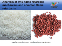 //iororwxhnnrill5q-static.micyjz.com/cloud/lrBprKkqlrSRqkopjonpjp/Analysis-of-PA6-flame-retardant-mechanism-and-common-flame-retardants.jpg