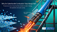 //iororwxhnnrill5q-static.micyjz.com/cloud/pjBprKkqlrSRmlnnpmmljm/0926-Why-Do-Cable-Bundle-Combustion-Tests-Always-Fail.jpg